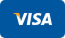 Visa Payment System Image